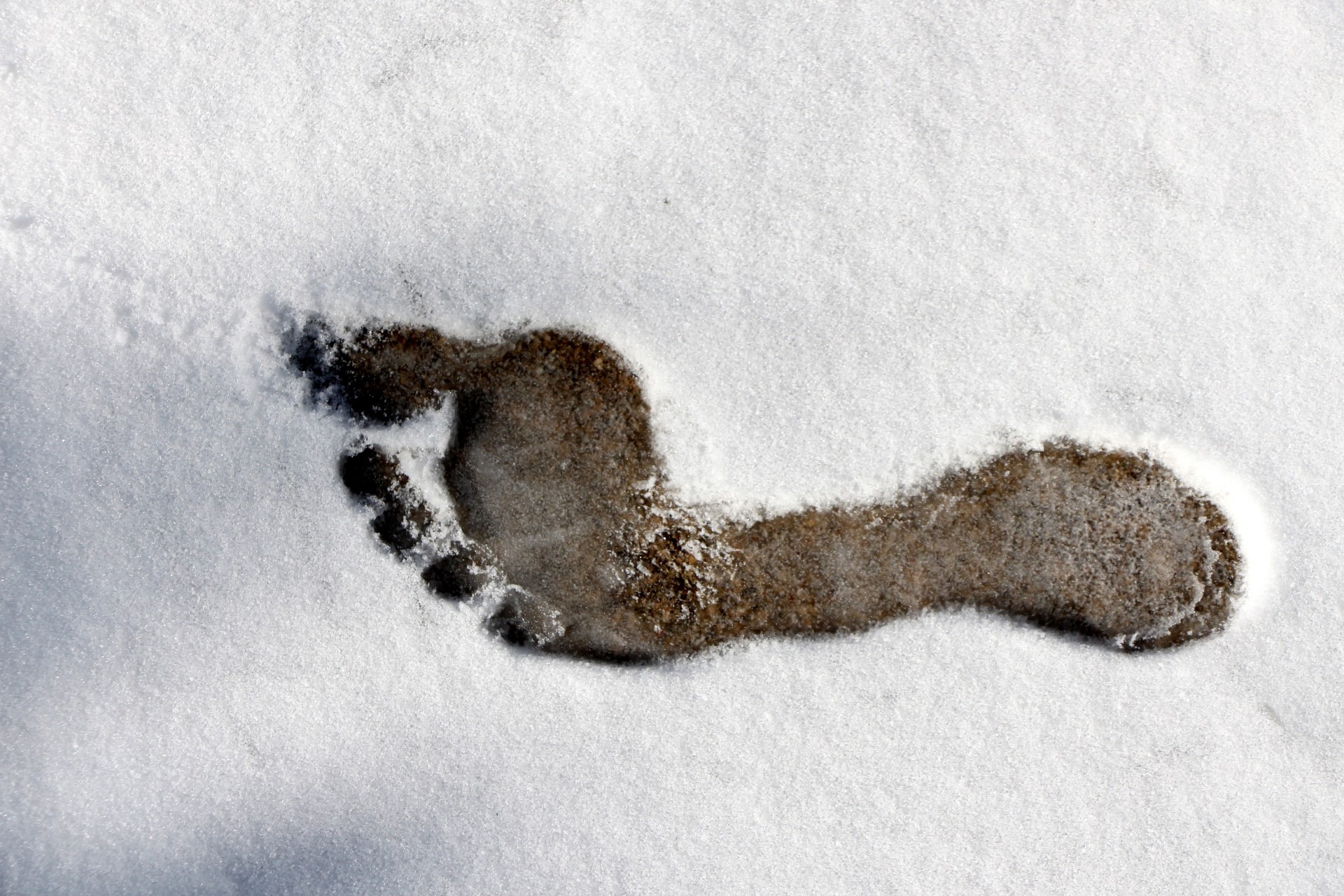 CONSEJOS PARA PROTEGER TUS PIES EN INVIERNO Antonio Juan Ortuño